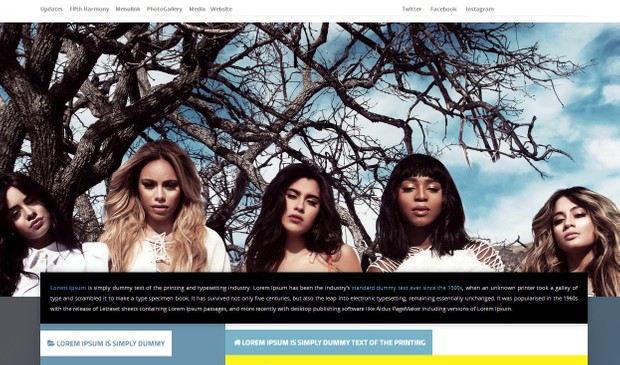 Wordpress Theme / Widget Ready Premade 02