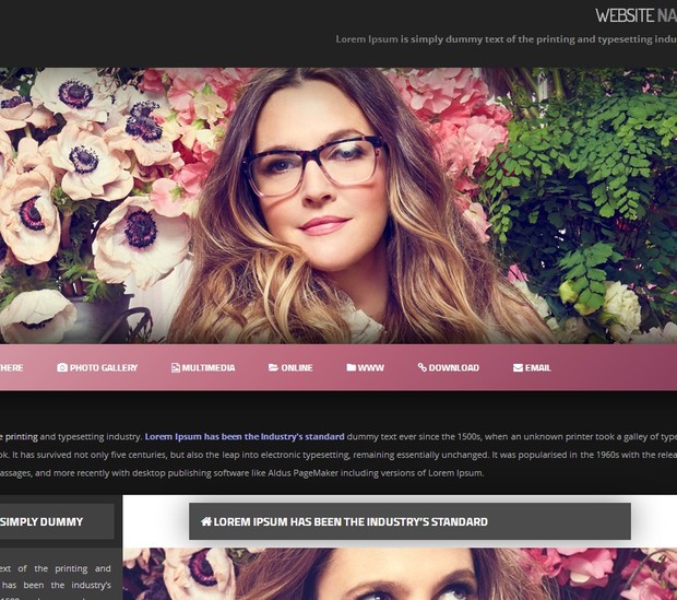 Wordpress Theme / Widget Ready Premade 02