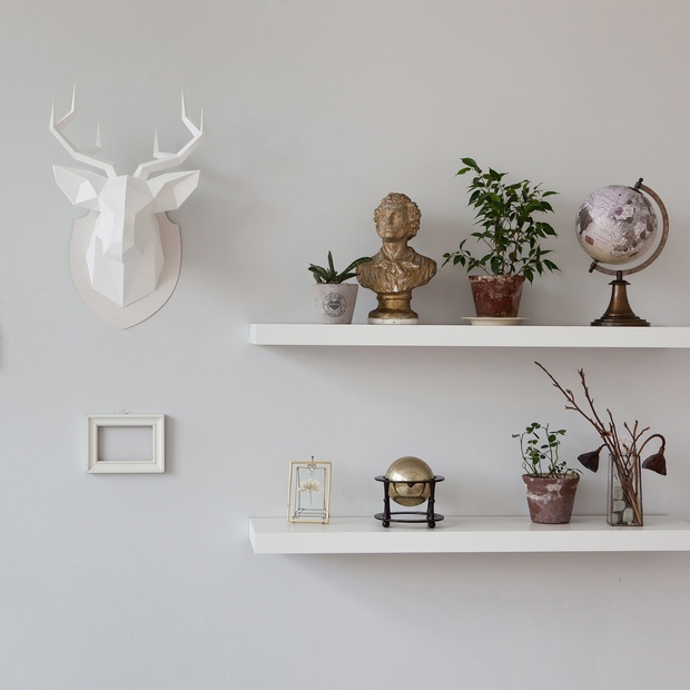 2D Deer Head Template (With manual on English)