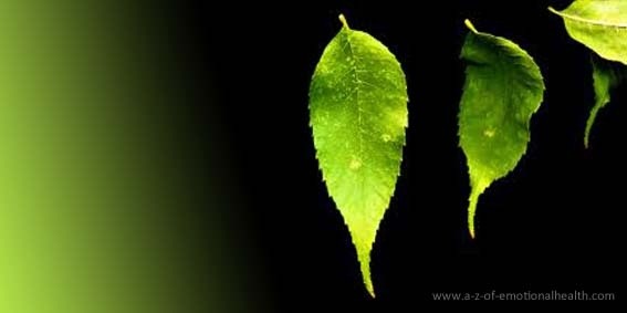 Emotional Currency, the Underlying Exchange