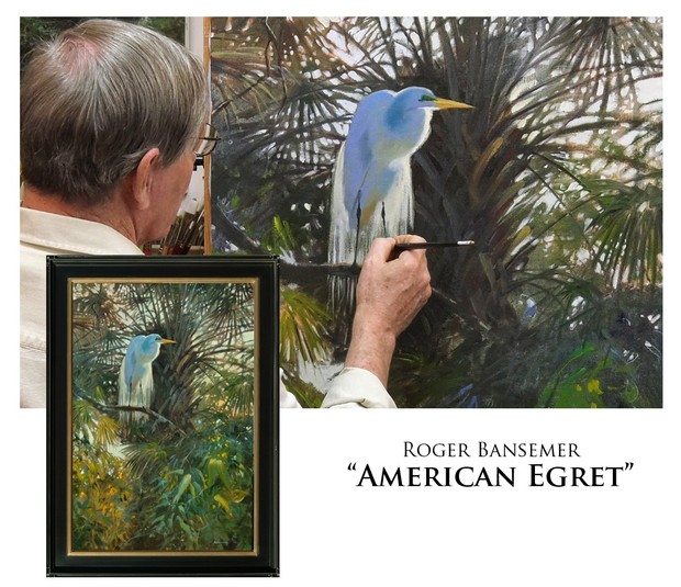 American Egret
