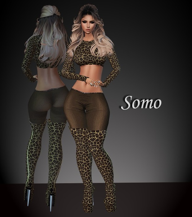 Somo GA