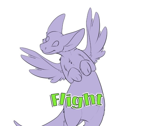 Flight Template