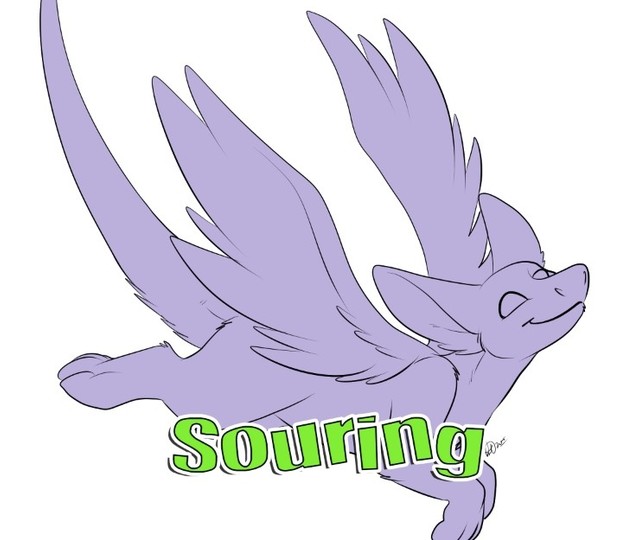 Souring Template