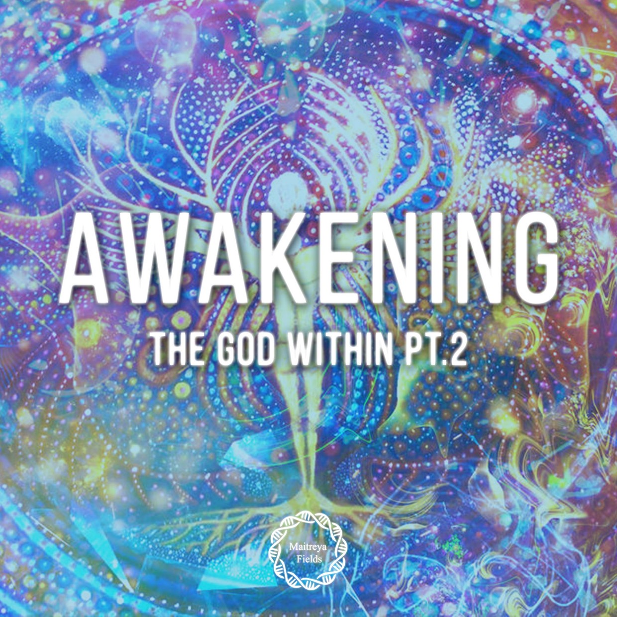 Awakening the God Within pt 2 - MaitreyaFields