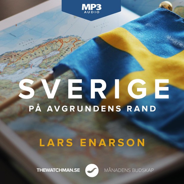 Sverige på avgrundens rand (MP3 Swedish) - Lars Enarson