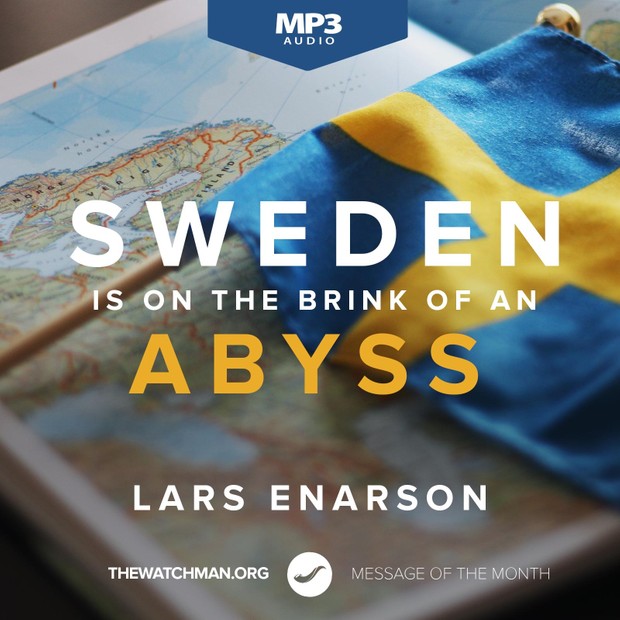 Sweden Is on the Brink of an Abyss (MP3) - Lars Enarson