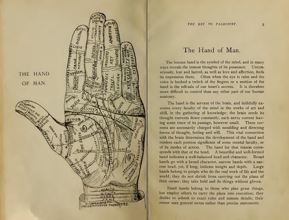 Physiognomy - Palmistry - Phrenology