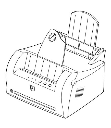 Xerox Phaser 3110, Phaser 3210 Laser Printer Service Repair Manual