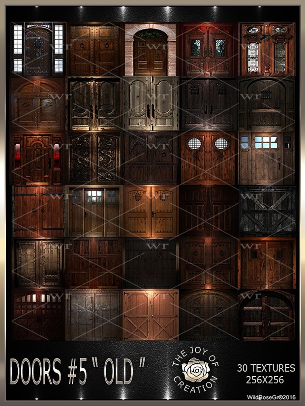 ~DOORS #5