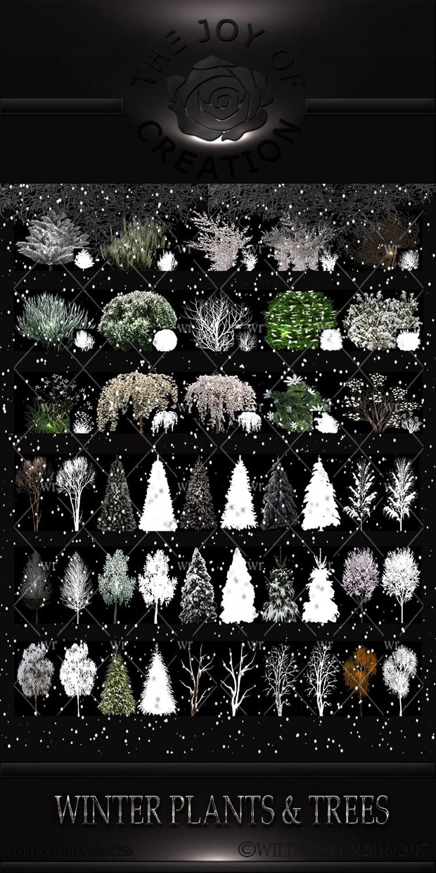 WINTER TIME