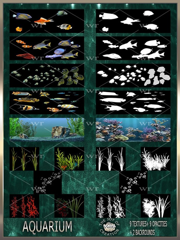 ~ AQUARIUM ~