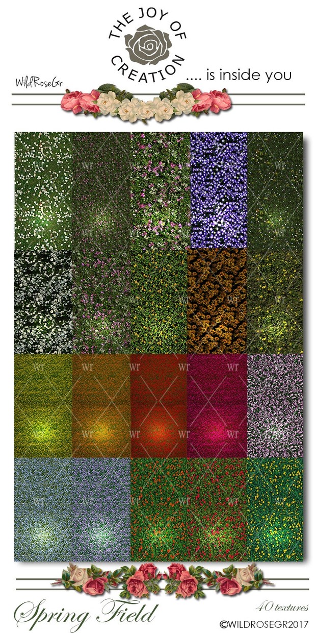SPRING FIELD