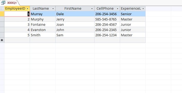 IT540Assignment3 Solution - Organization Access Database with queries