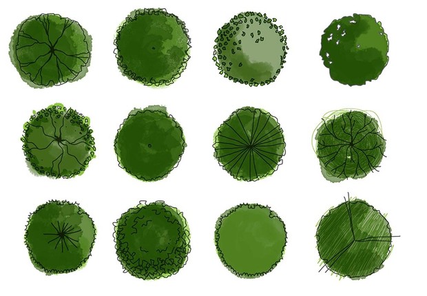 Hand drawn trees