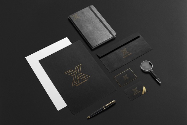 X LOGO | PREMADE LETTER X LOGO DESIGN