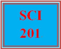SCI 201 Week 2 Complementary Healing Therapies Chart