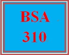 BSA 310 Week 2 Individual: Business Influences Assignment