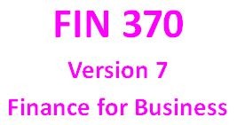 FIN 370 Week 5 Learning Team Integrative Problems and Virtual Organization Strategy Paper