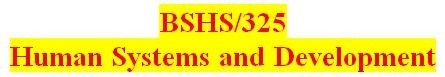 BSHS 325 Week 5 Macro Systems Paper