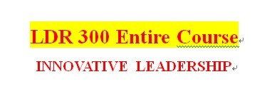 LDR 300 Week 4 Positive Leadership Theories Presentation