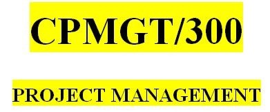 CPMGT 300 Week 2 Planning Process Groups Paper