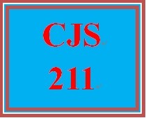 CJS 211 Week 3 Ethical Dilemma Worksheet Prosecutors