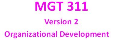 MGT 311 week 5 Learning Team Reflection