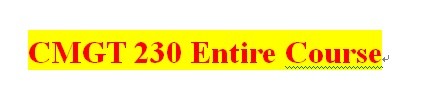 CMGT 230 Week 4 Individual Malware Paper