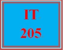 IT 205 Week 1 Individual Develop an Action Plan for Developing Foundational IT
