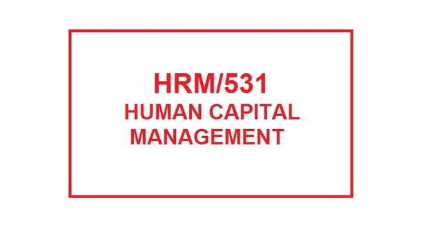 HRM 531 Week 5 Training Plan