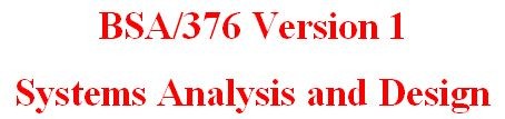 BSA376 Week 2 Individual Work-Related Project Analysis, Part I