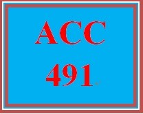 ACC 491 Week 3 Assessing Materiality and Risk Simulation