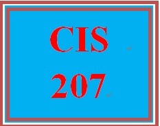 CIS 207 Week 5 Learning Team New System Proposal Presentation