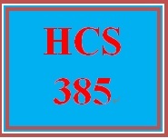 HCS 385 Week 4 Week Four Financial Performance Worksheet