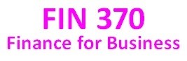 FIN 370 Week 3 Strategic Initiative Paper