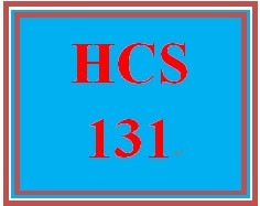 HCS 131 Week 1 participation Communication in the Workplace