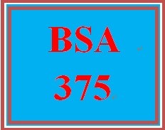 BSA 375 Week 2 Individual Process Modeling