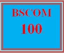 BSCOM 100 Week 3 Small Team Experiences Paper