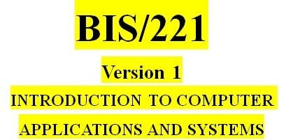 BIS 221 Week 5 Social Media and Networking Presentation