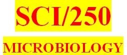SCI 250 Week 5 STD Informational Pamphlet – Appendix G