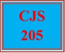 CJS 205 Week 2 Interview Approaches & Strategies Presentation