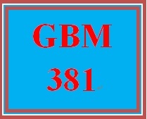 GBM 381 Week 4 Operational Analysis