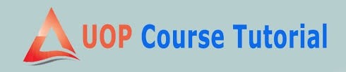 PRG 211 Entire Course | Latest Version | A+ Study Guide
