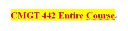 CMGT 442 Week 2 Risk Information Sheet