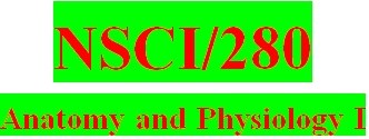 NSCI 280 Week 5 Ph.I.L.S. Activities