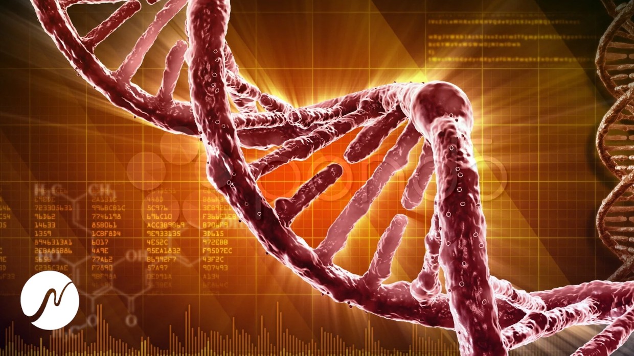 Ancient Dna Repair Frequency 528 Hz Solfeggio Neowake Store