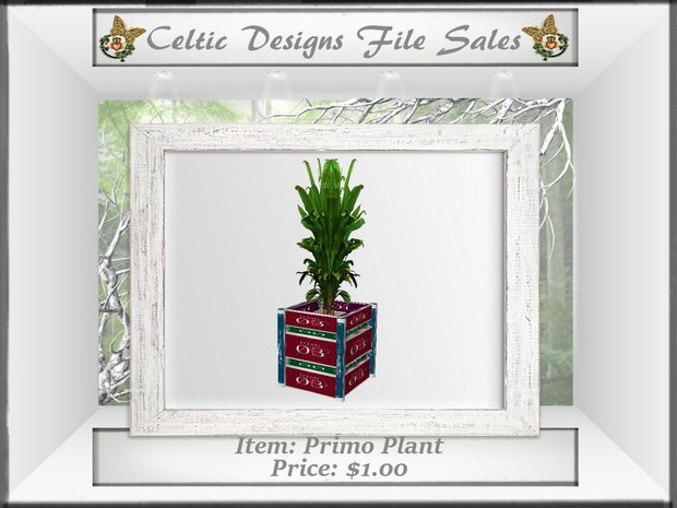 CD Primo Plant
