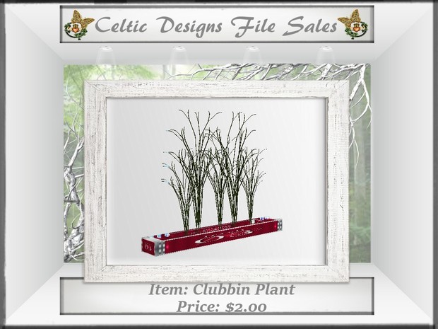 CD Clubbin Plant