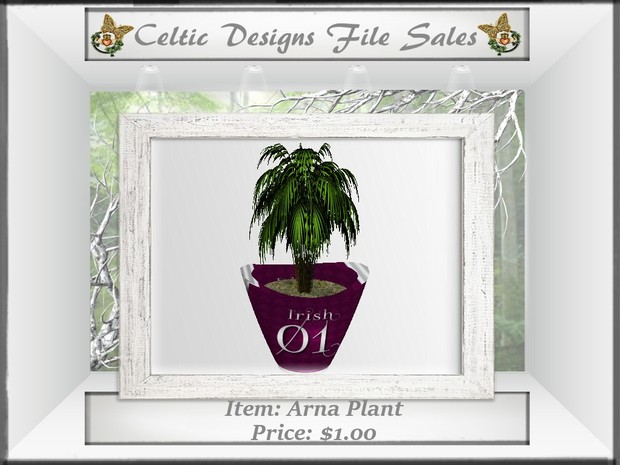 CD Arna Plant